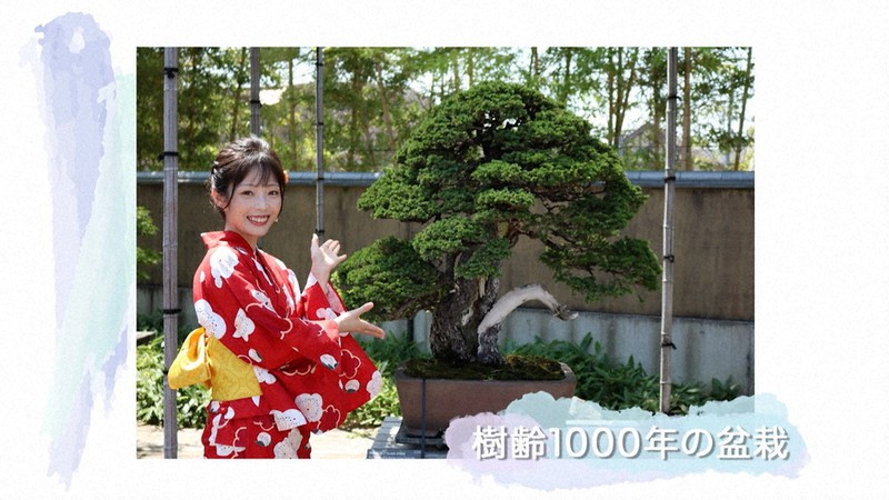 さいたま市20周年の動画で、大宮盆栽美術館の魅力を紹介するyukaさん=市提供