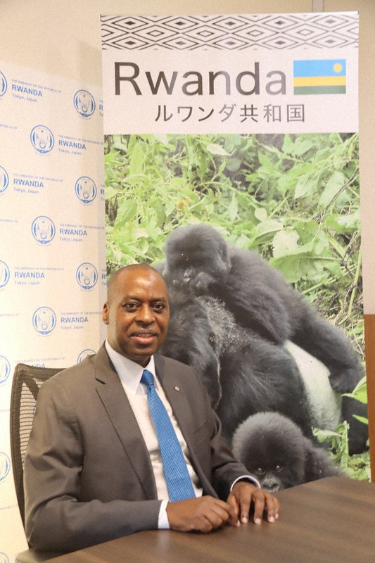 こだわりの一品 ルワンダ マウンテンゴリラ 人と共生 名付け式 で高める保護意識 毎日新聞