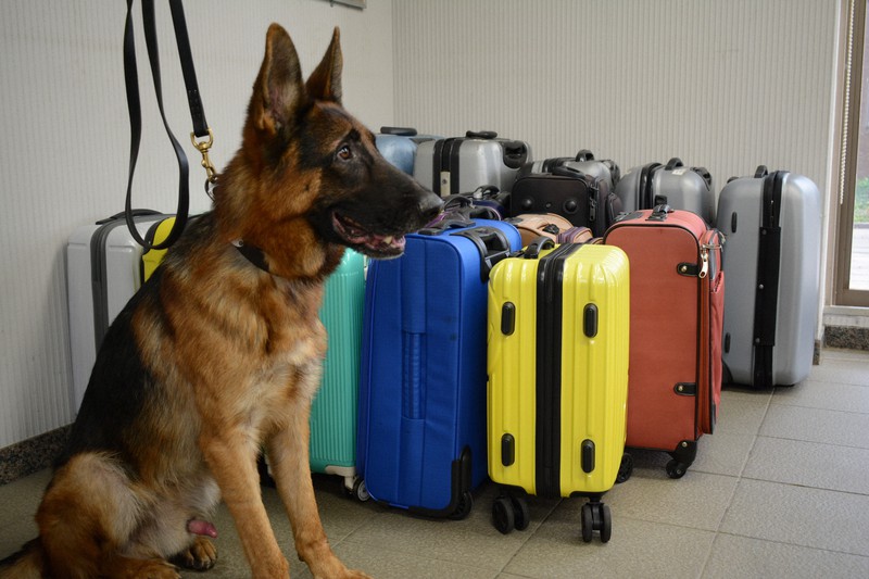 取り締まりの支援に 麻薬探知犬の訓練用スーツケース60個寄贈 毎日新聞