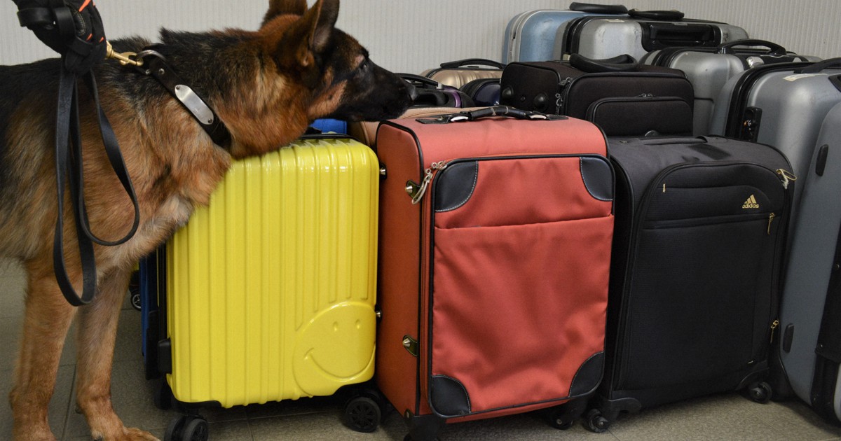 取り締まりの支援に 麻薬探知犬の訓練用スーツケース60個寄贈 写真特集1 3 毎日新聞