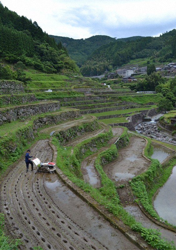 今年6月、広内・上原の棚田での田植え。狭く複雑な地形の棚田では作業の負担が大きい=福岡県八女市星野村で