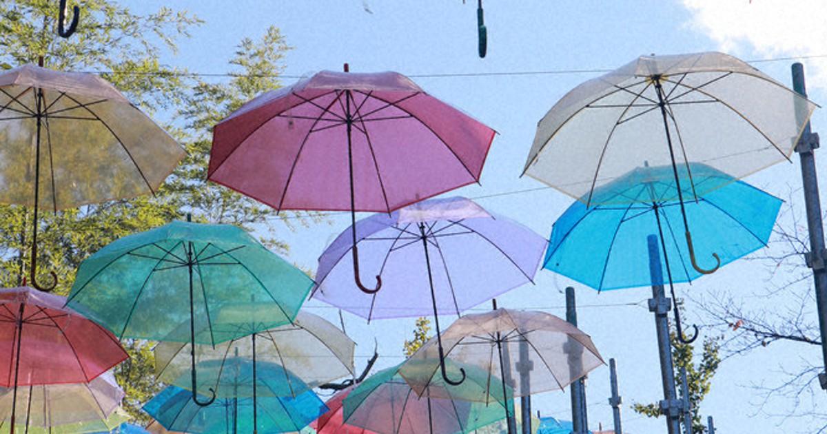 見上げてごらん 色とりどりの傘 橋本 杉村公園 和歌山 毎日新聞