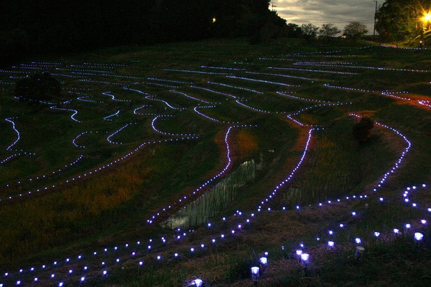 In Photos One Of Japan S Top 100 Rice Terraces Lit Up In East Japan City Of Kamogawa 写真特集3 4 毎日新聞