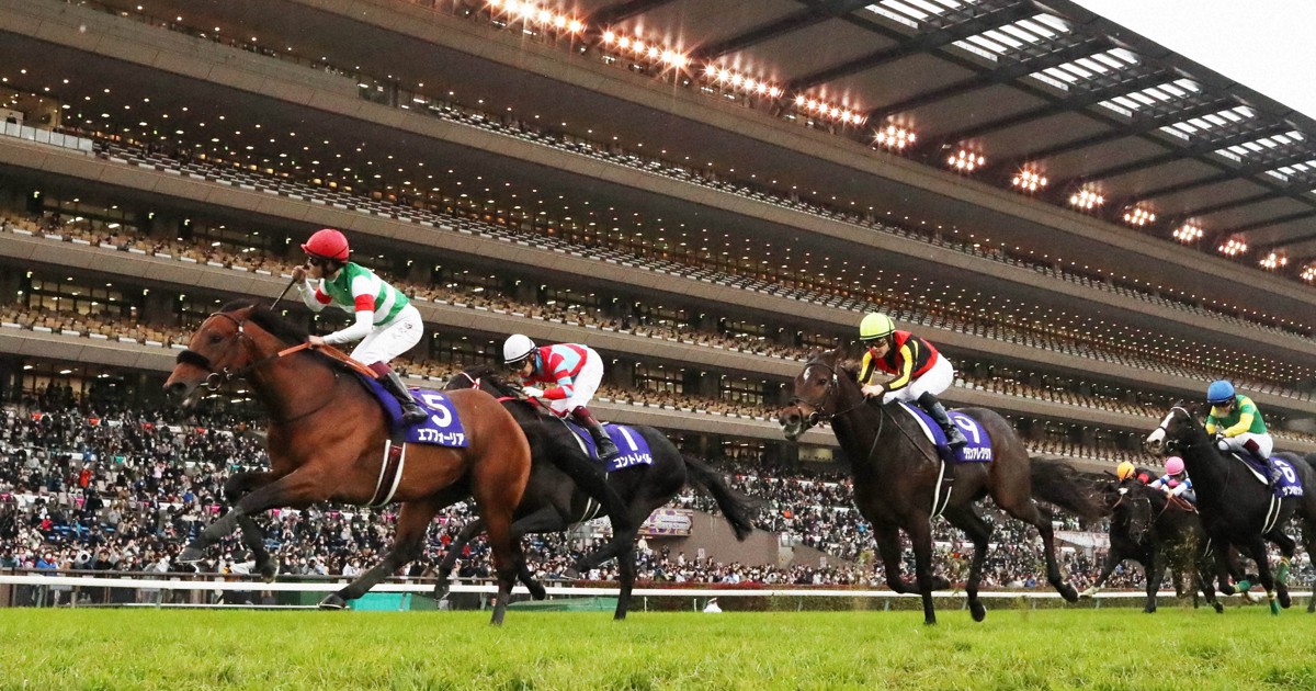 全競馬場出目V作戦 2001～2002 全競馬場出目V作戦 2001～2002 本