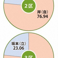 小選挙区の候補別得票率
