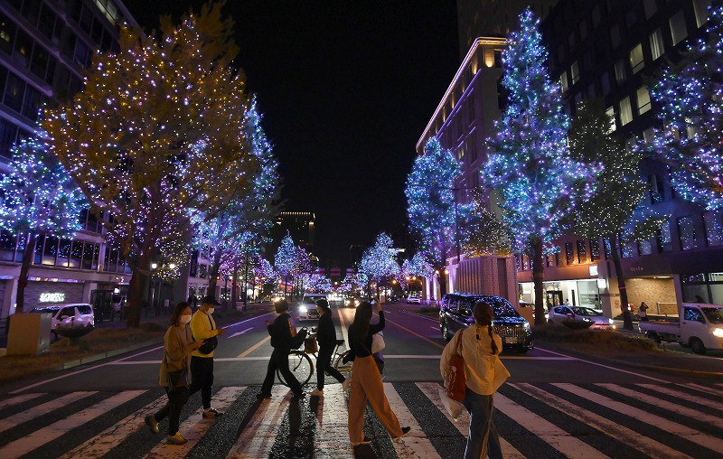 鮮やか130万個 大阪・御堂筋イチョウ並木のイルミネーション [写真特集