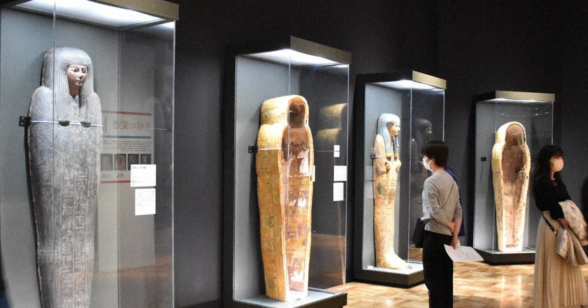 古代エジプト展」あすまで 山口 世界初CTデータも公開 ／山口 | 毎日新聞