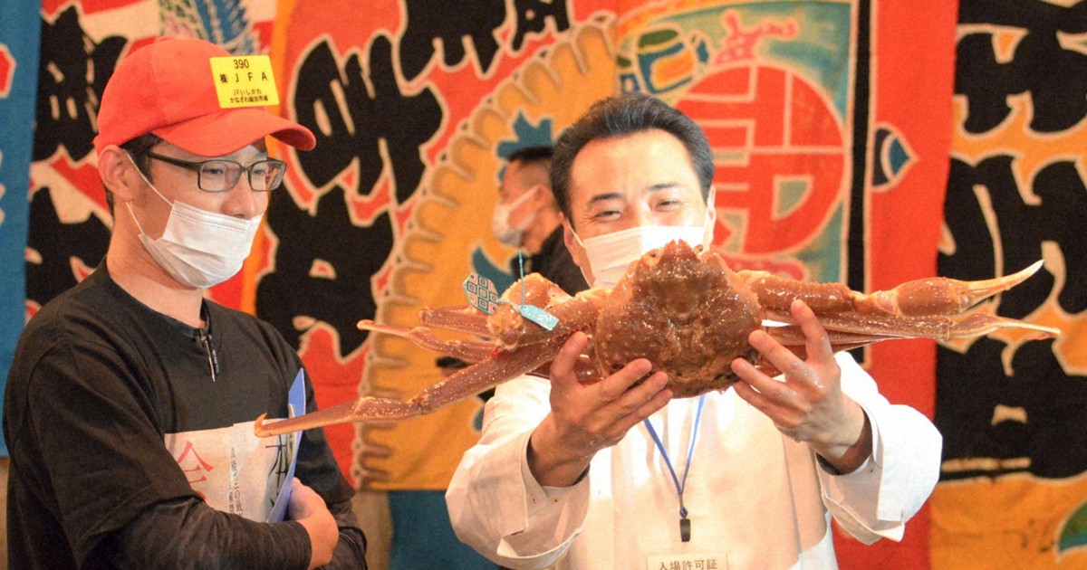 石川のズワイガニ、1匹500万円で落札 最高級ブランド「輝」認定 | 毎日新聞
