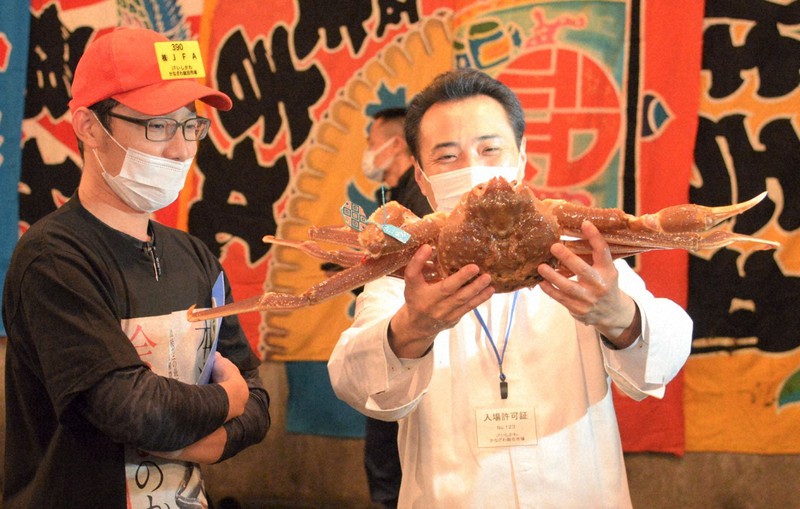 石川のズワイガニ、1匹500万円で落札 最高級ブランド「輝」認定
