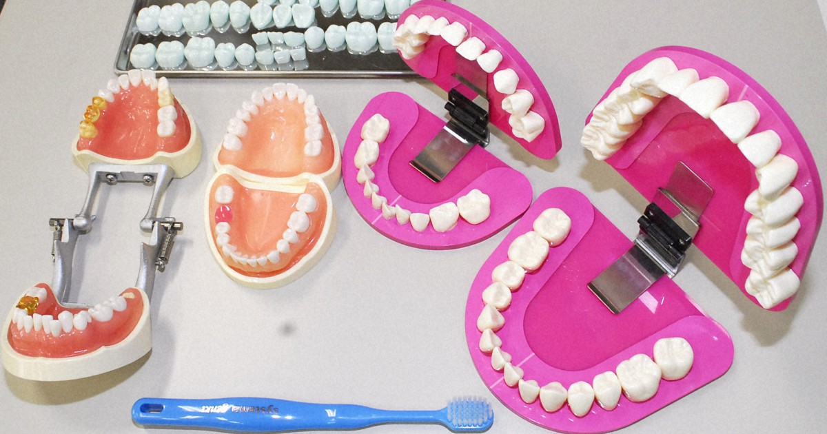 大阪セラミックトレーニングセンター エポキシ歯牙模型　歯科技工　歯型彫刻 大阪セラミックトレーニングセンター エポキシ歯牙模型 歯科技工