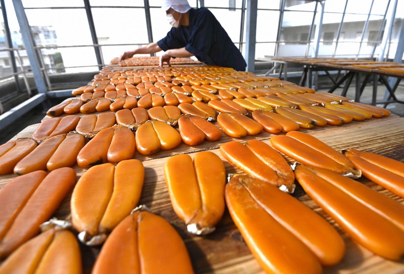 あめ色に輝くからすみ作り 海水温高く例年より遅れて始まる 長崎 写真特集1 5 毎日新聞