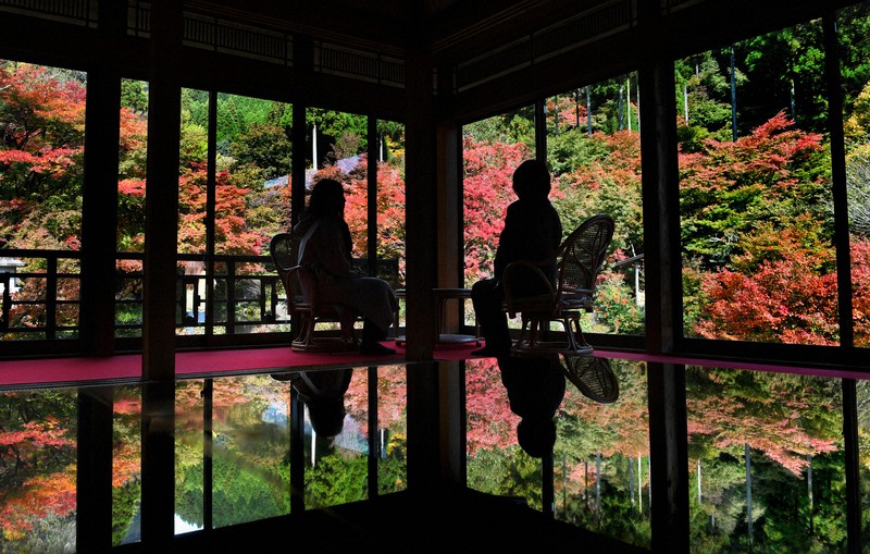 紅葉に包まれる佐賀の映えスポット 幻想的な風景に癒やされ 毎日新聞
