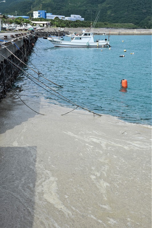 軽石が漂着した鹿児島県奄美市の小湊漁港(11月2日)