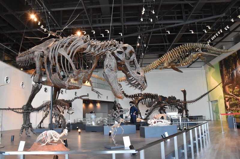 憂楽帳：恐竜王国 | 毎日新聞