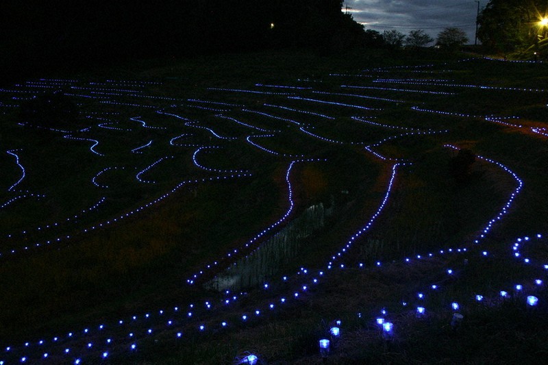 幻想的な光の変化 楽しんで 鴨川 大山千枚田ライトアップ 千葉 毎日新聞