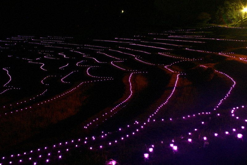 幻想的な光の変化 楽しんで 鴨川 大山千枚田ライトアップ 千葉 毎日新聞