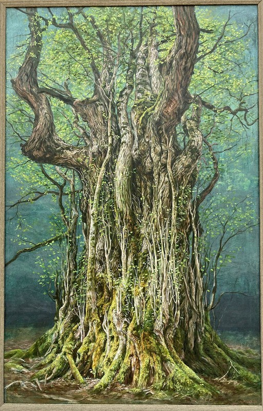 かんさいナウ：「京都大学芦生研究林」誕生100周年 絵画通し森に関心を