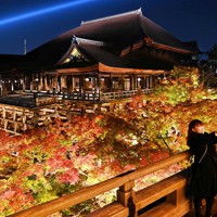 色づくモミジ、舞台に映え 清水寺で18日から夜間特別拝観 [写真特集1/5
