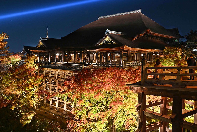 色づくモミジ、舞台に映え 清水寺で18日から夜間特別拝観 [写真特集3/5