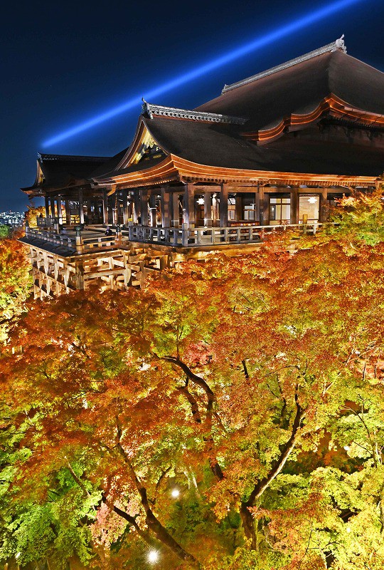 色づくモミジ、舞台に映え 清水寺で18日から夜間特別拝観 [写真特集3/5