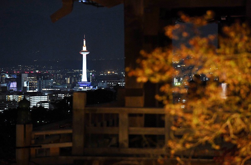 色づくモミジ、舞台に映え 清水寺で18日から夜間特別拝観 [写真特集1/5