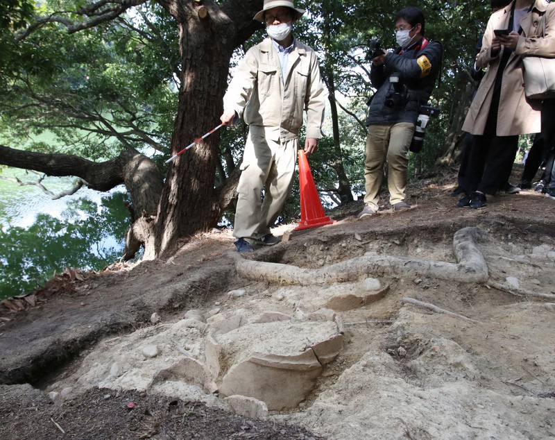 新たに発見された埴輪列=堺市堺区で2021年11月19日午前10時6分、梅田麻衣子撮影