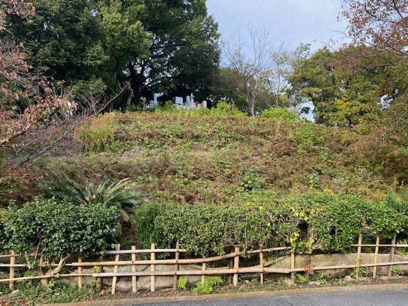 後藤又兵衛が奮戦した小松山は玉手山1号墳だ=柏原市片山町で2021年11月12日、松井宏員撮影