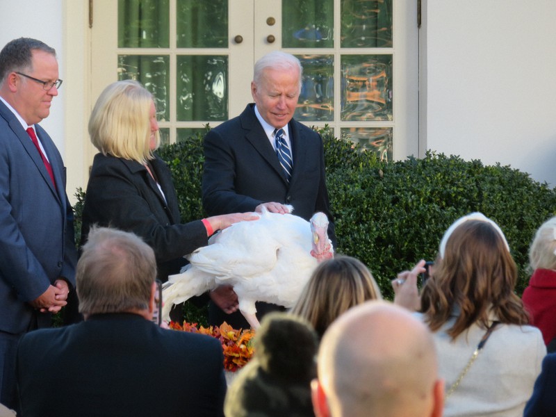ロイヤルコペンハーゲン白鳥最終1点掲載期間長い為値引き後反応無ければ終了します。 貨幣博物館 | 日本試作鳥一銭白銅貨 Pattern Copper-nickel 1Sen 昭和