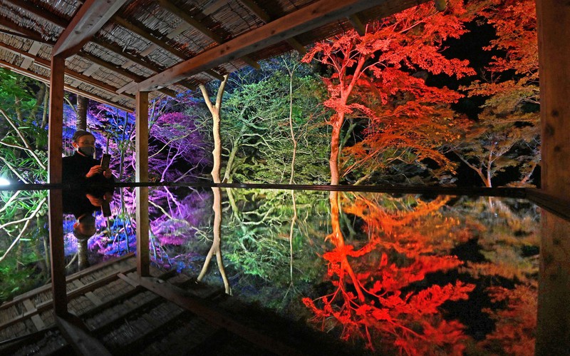 いろした工房 紅葉 灯籠 凍み 