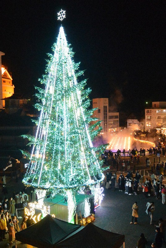 華やかに 色づく街角 感謝のブルーツリー 草津温泉 群馬 毎日新聞