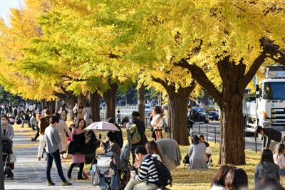 冬の枝に咲いた 花ぼうろ 長崎 雲仙で今季初の霧氷 毎日新聞