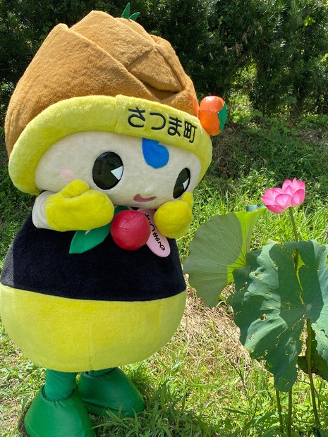 はーちゃん 鹿児島県長島町産あおさ 鹿児島県長島町産 乾燥あおさ(200g)【礒永水産】iso-6042