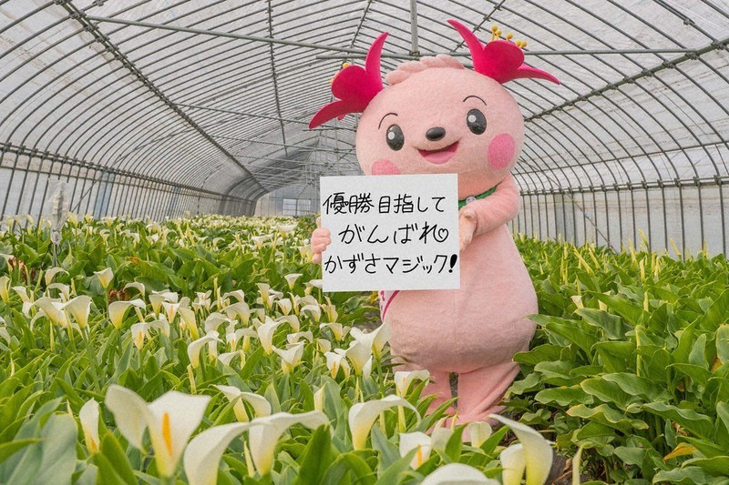 日本製鉄かずさマジックに応援メッセージを寄せた千葉県君津市のマスコットキャラクター「きみぴょん」