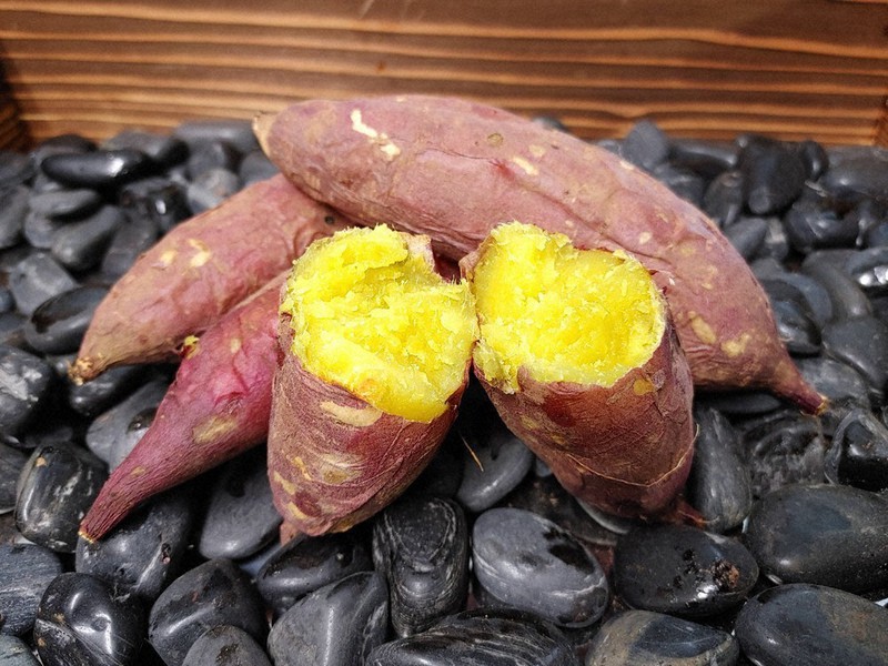 サツマイモの新品種「あまはづき」の焼き芋。黄色みが強く、ねっとり甘い焼き芋に仕上がるという=農研機構提供