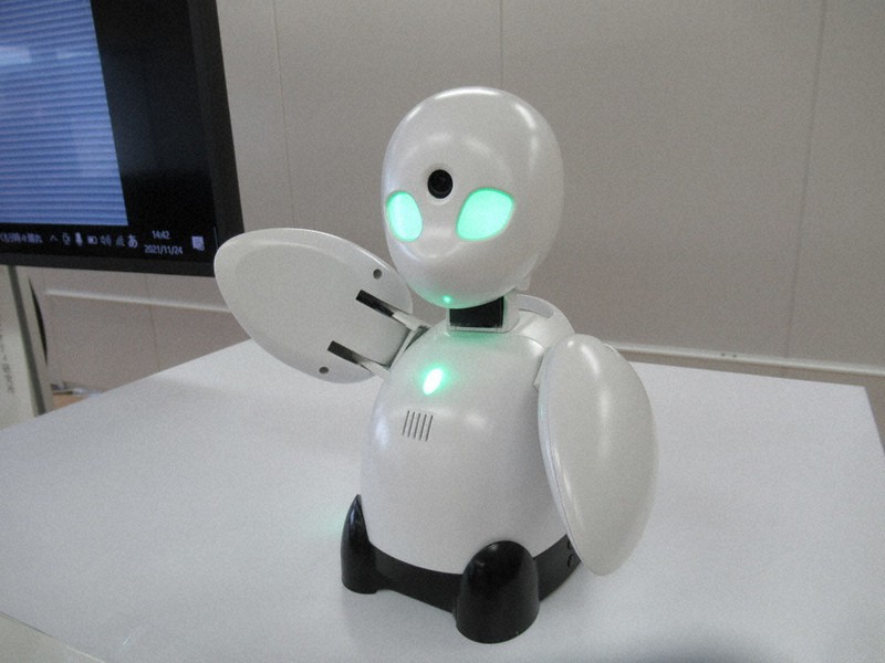 ひきこもり当事者の支援で活用される分身ロボットのOriHime=神戸市役所で2021年11月24日午後2時37分、山本真也撮影