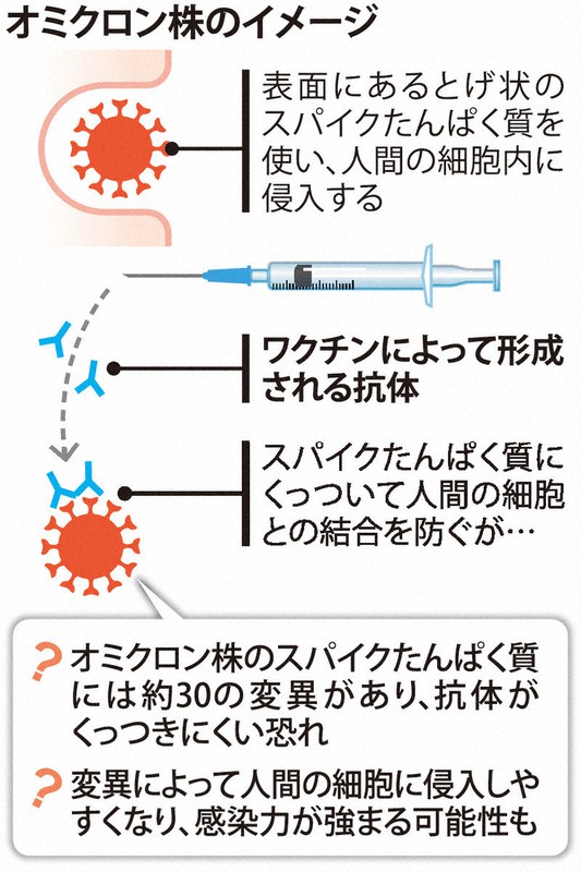 オミクロン株のイメージ