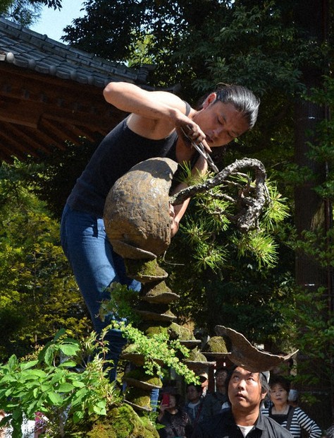 盆栽パフォーマンスを披露する平尾成志さん=さいたま市大宮区高鼻町1の氷川神社で2017年4月30日、錦織祐一撮影