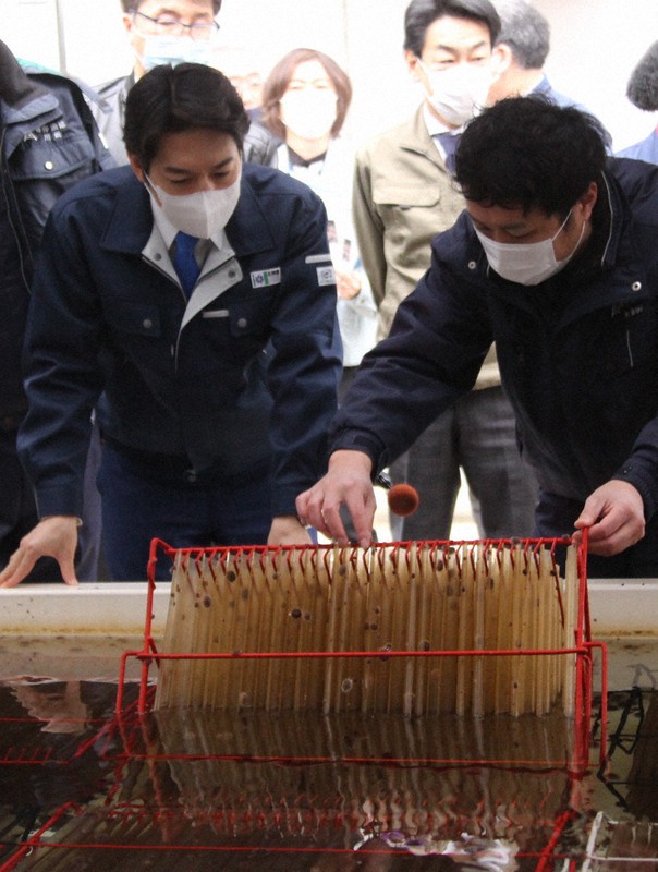 「釧路管内水産種苗生産センター」でウニの種苗生産などについて説明を受ける鈴木直道知事(左)=北海道厚岸町で2021年12月1日午前11時14分、本間浩昭撮影