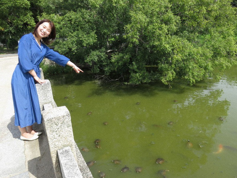 「この池、すごくたくさん亀がいるんですよ」と上田真未さん。小さいころから公園にしょっちゅう遊びにきて虫や池の生物に親しんだ2021年9月7日午前10時10分、三角真理撮影