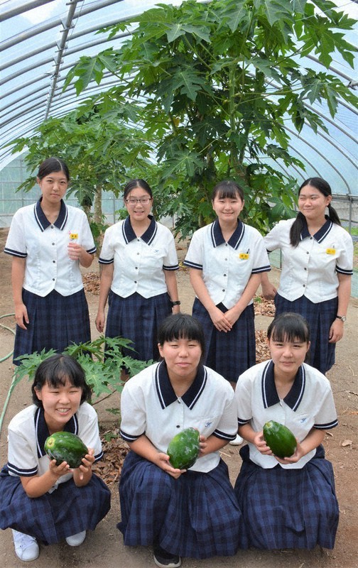 　西条農業高校作業着 1727068559-1727068717.JPG