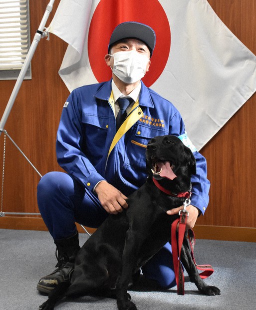 エリート警察犬「すみれ」嘱託2年目から本領 行方不明者発見 滋賀