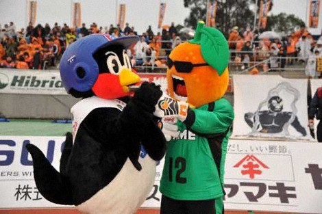 FA宣言つば九郎 「みかん食べ放題」愛媛FCも獲得競争に参戦 | 毎日新聞