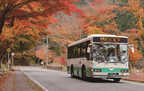 バス 沿線風景写真 カレンダー販売 奈良交通 奈良 毎日新聞 バス 沿線風景写真 カレンダー販売 奈良交通 奈良 毎日新聞