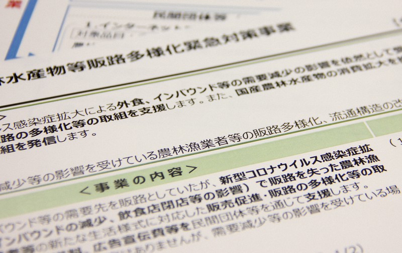 コロナ禍で売り上げが減った農水産品を支援する事業について説明した農林水産省の文書