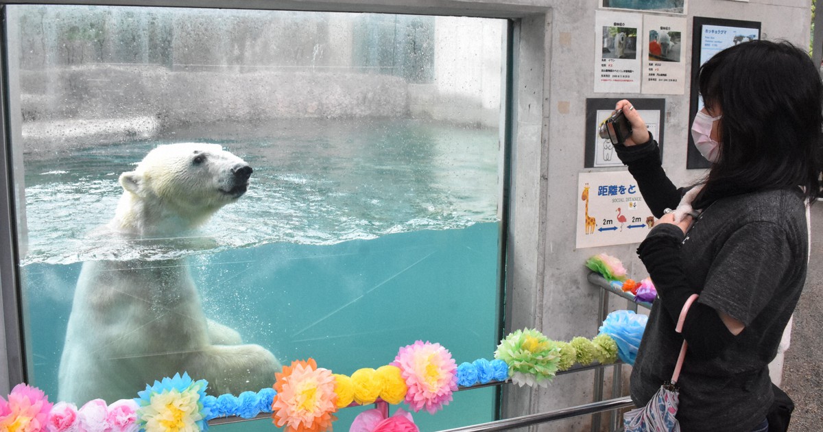 ホッキョクグマのイワン死ぬ 21歳 とくしま動物園北島建設の森 | 毎日新聞