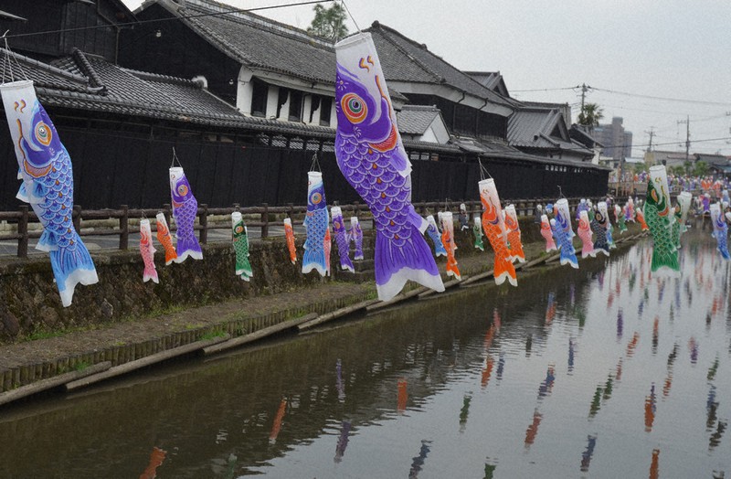 栃木 巴波の鯉のぼり ピンチ コロナで客足激減 新調資金募る 毎日新聞
