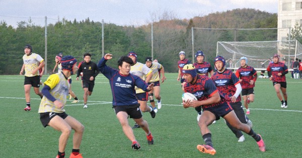 日本航空石川ラグパン 日本航空石川ラグビー短パン - メルカリ