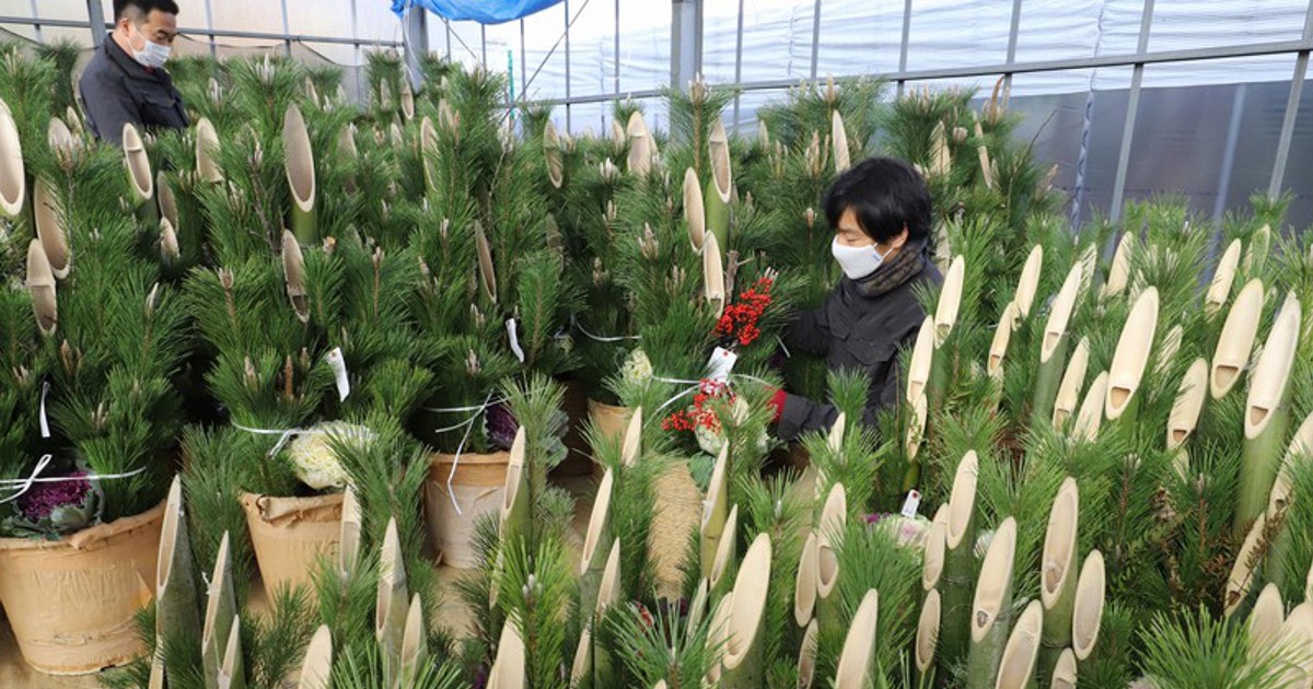 In Photos: Japan's traditional 'Kadomatsu' decorations ready for New ...