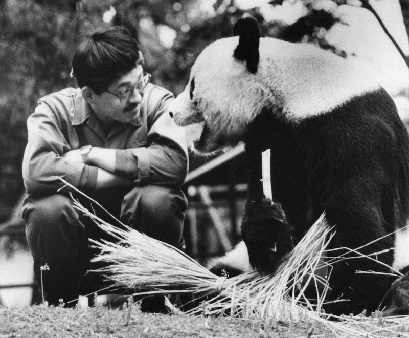 友好のかけ橋：日中国交50年／上（その1） パンダは「友好の証し」 元