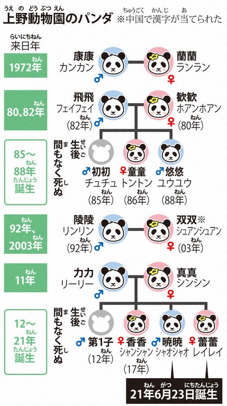 友好のかけ橋 日中国交50年 上 その2止 和歌山 神戸でも 国内で広がった飼育施設 毎日新聞